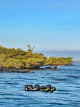 مواقيت الصلاة