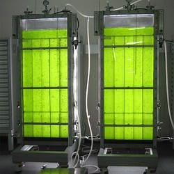 Algae Photobioreactor - Algae PBR Latest Price, Manufacturers & Suppliers
