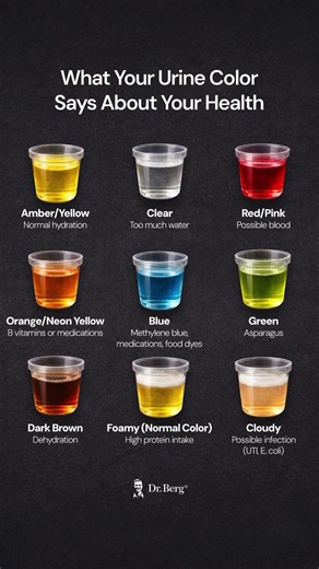 What Your Urine Says About Your Health (Shocking Truth)