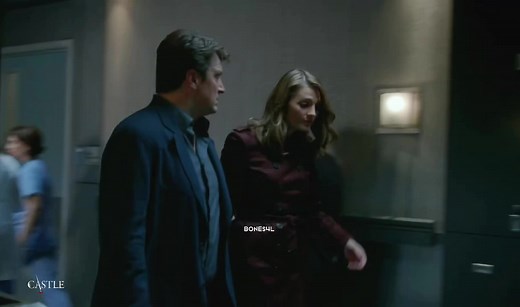 Castle TV Show: Celebrating Beckett and Castle's Wedding
