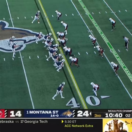 With the Japanese taking over Twitter, maybe it's time we introduce them to Tommy Mellott highlights. They seem ready.