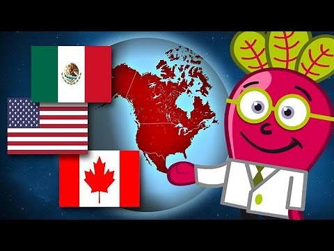 🇨🇦🇺🇸🇲🇽 AMERICA DEL NORTE Paises y Capitales Mapa Niños