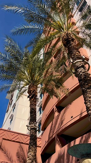 Dave Calabro on Reels