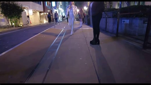 日本大久保公园徒步夜行