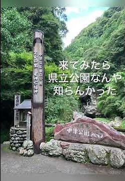 【高知】奇跡の清流「仁淀ブルー」を巡る旅！荒男谷・安居渓谷・沈下橋#仁淀ブルー #高知観光 #仁淀川 #にこ淵 #安居渓谷 #沈下橋 #日帰り旅 #四国旅行 #清流 #自然絶景 #クラフトビール