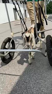 29K views · 3.4K reactions | ❤️Joel update❤️ Joel continues to fight...