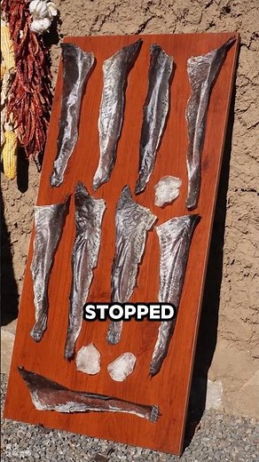 Fish Skin Becomes Clothing 😲