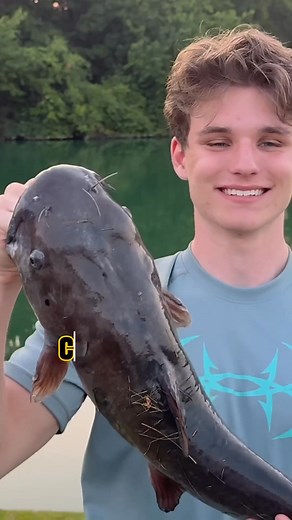 1.6K views | How To Handle Channel Catfish For 2026!  #shorts #fishing #catfish | Father & Son Fishing | Facebook