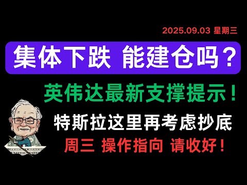 Todaychart：周二美股集体低开反弹！周三还会跌吗？英伟达主力追踪系统提示最新建仓点位！特斯拉这个点位再抄底会更加稳健！科技股逢低做多的机会！SOXL中短线抄底机会！9月3日