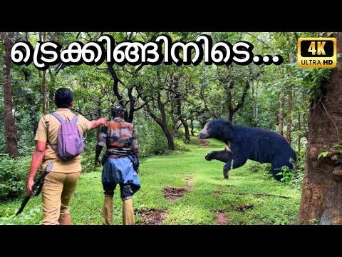 The Best Forest Trekking and Camping | Periyar Tiger Trail Season-4 | 4K UHD
