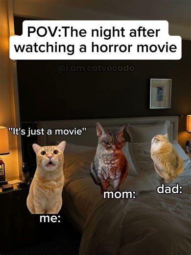 CAT MEME😺Are you afraid of ghosts?#shorts#catmeme#relatable#viralshorts
