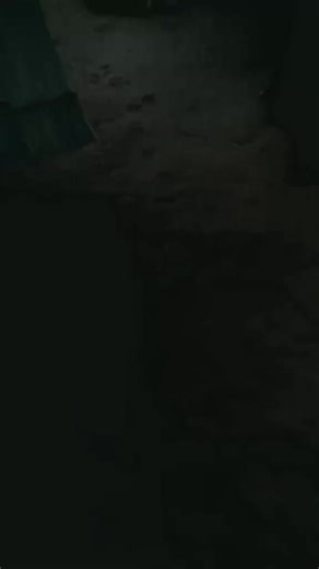 teamchiken_bantrix🐔🍗 (@raiamyu_chicken0)’s videos with оригінальний звук - spotify.music