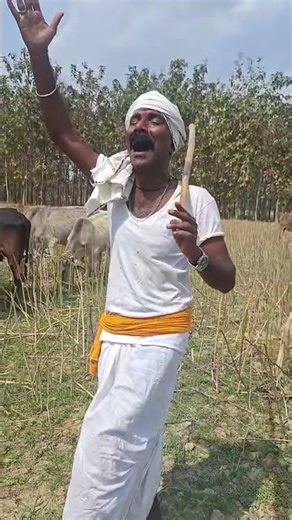 Geela purubhava balamu , hamke , bisar , bhaila , ne ramohi aisa , jana