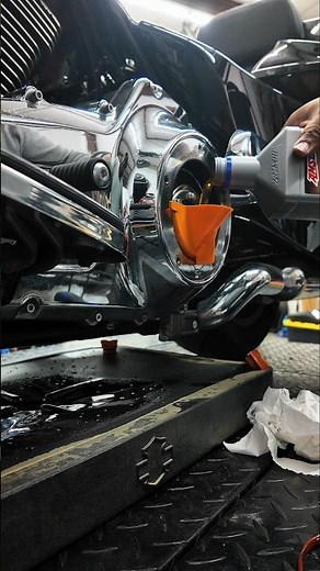 STOP Skipping This! Harley Primary Oil Change