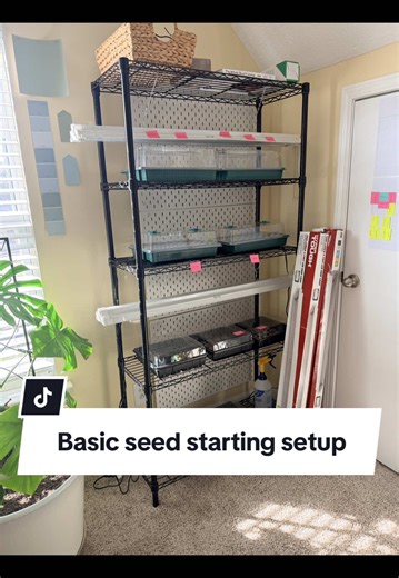 Basic Seed Starting Setup for Indoor Gardening