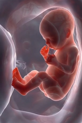 How a Baby is Made: The Science of Life | Educational Short#HowBabiesAreMade #viral #short #health