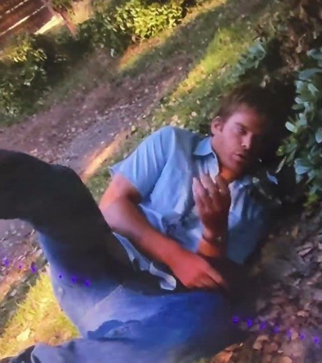 Dexter Tranquilizer Dart KO