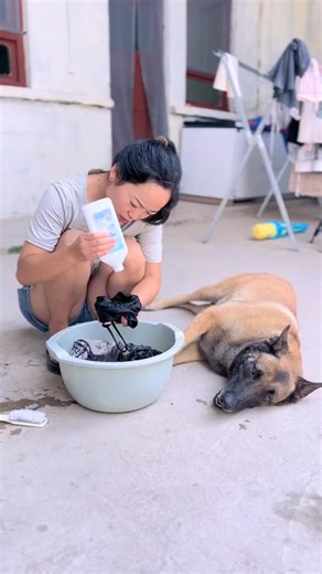 🐕Dog training😂funny dog❤️ - - - - - #dogtrainingfun #doglover #funnydogs #petcomedy #doglife #puppylove #funnyvideo #lolmoments #comedyreels #animallovers | Dog Training