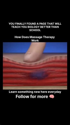 Explaining Biology on Instagram: "Muscle therapy, also known as massage therapy or soft tissue therapy, is a manual or hands-on technique used to promote relaxation, relieve pain and stiffness, and improve overall muscle function. Here’s how it works: Benefits 1. *Relaxation*: Muscle therapy can help reduce muscle tension and promote relaxation. 2. *Pain relief*: It can help alleviate pain and discomfort caused by muscle strain, injury, or chronic conditions. 3. *Improved flexibility*: Regular m