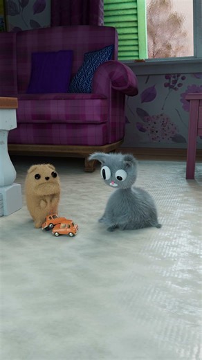 Are all cats bad drivers?