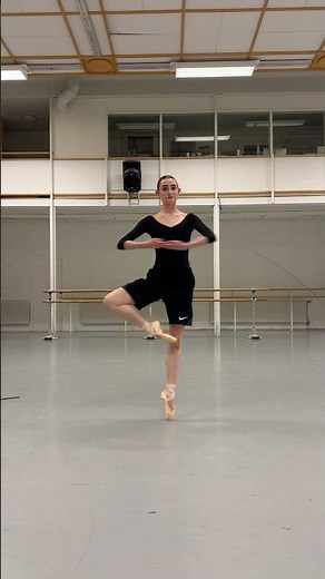 and for the lady…perhaps a ballet skirt ? PERHAPS NOT 💅🏻