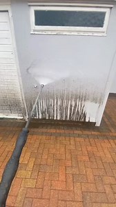 1.1M views · 7.3K reactions | Random facts | Follow for more #randomactsofcrochetkindness #factsinhindi #factsmine #factsyoudidntknow #curiosity #randomvideo #FactFriday #random #truestory #facts #factsoflife #factsonly #factsdaily #fact #randomfacts #randomthoughts #randomclick | Real Facts | Facebook