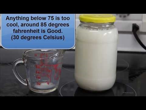 Kefir - DIY Homemade Without Grains