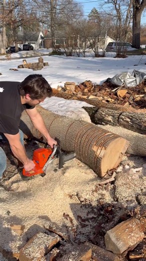 ported 372xp vs 460 magnum! #chainsaw #legend #firewood #fast #race #faller #husqvarna #stihl
