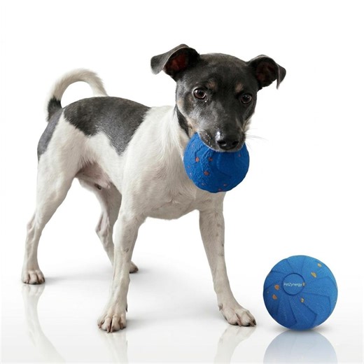 Automatic Interactive Dog Ball – USB Rechargeable Rolling Toy for Dogs - Etsy