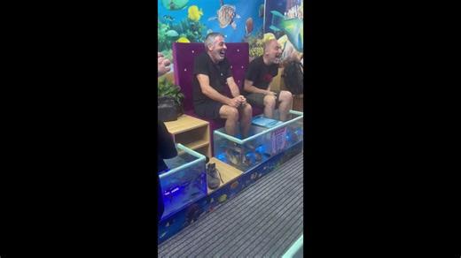 Tourists giggle uncontrollably while trying fish spa