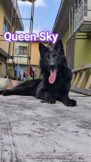 Queen Sky of The Wolf Pack