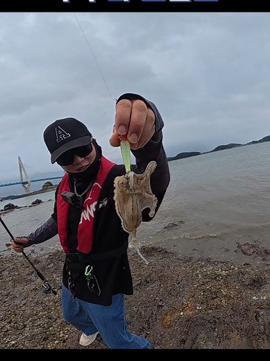 안면도 워킹 쭈꾸미 포인트, 서해 쭈꾸미 포인트, 안면도 쭈구미 #쭈꾸미 #낚시 #fishing