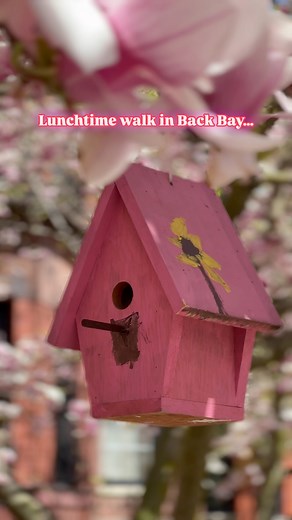 A perfect lunchtime walk in Back Bay. Boston is still showing off after a glorious weekend. #boston #bostonphotography#backbay #bostonspring | Jackdarylphotography