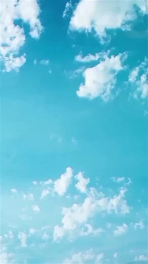 💎💎💎💸💸💸💵💵💵💵✨✨✨✨✨✨✨✨✨🥰🥰🥰🥰🥰🥰🥰🥰☘️☘️☘️ Adam Sow