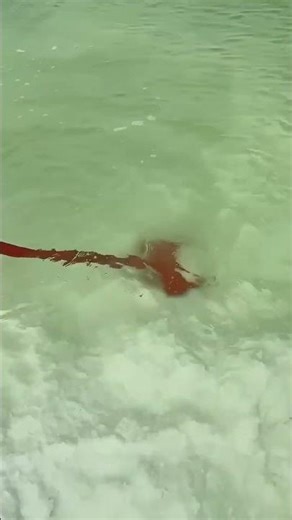 Extracting process of lake salt from salt fields