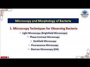 Microscopy Techniques for Observing Bacteria, Microscopy and Morphology of Bacteria, #microscopy
