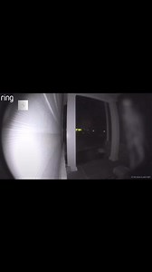 14K views · 377 reactions | The family's ring camera captured footage of an unidentified creature. What could this mysterious being be?Reddit DantesArcade #theparanormalchic #unidentified #creature #cryptid #folklore #being #alien #monster #ringdoorbell #paranormal #supernatural #paranormalvideos #fantasma #ghost #paranormalwitness #spooky #wearenotalone #ufology #ufocommunity #proof #unexplained #caughtoncamera #fyp | ParanormalLink | Facebook