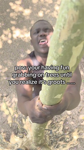 like and sub for more #funny#meme#subcribe