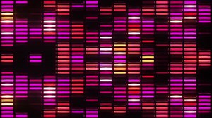 Neon Equalizer Light Flashing