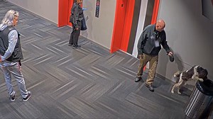 13K views · 116 reactions | The bomb squad is called when a K9 unit flags a suspicious package found in a guest suite after the game. #StadiumLockup | Crime & Investigation on A&E | Facebook