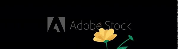 The animated video depicts the smooth movement of a bee around vibrant flowers against a transparent alpha channel background. This scene creates an atmosphere of naturalness and tranquility, showcasi