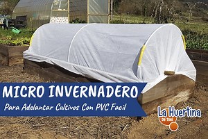 Como Hacer Un Micro Tunel O Mini Invernadero Con PVC - La Huertina De Toni