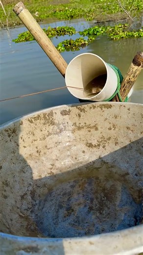 Ultimate Fishing Tips for Beginners