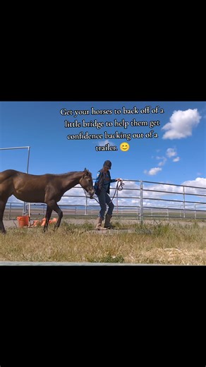 1.5K views · 44 reactions | Backing out of horse trailers is kind of...
