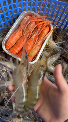 67K views · 1.6K reactions | Seafood Online Shops on Reels | Facebook