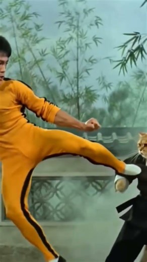 Bruce lee vs boss cat