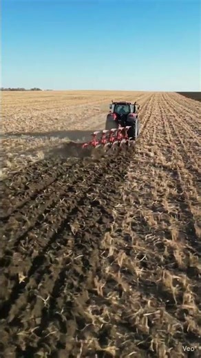 “From Dust to Perfect Lines 😳🚜 Satisfying Tractor Transformation in USA!”