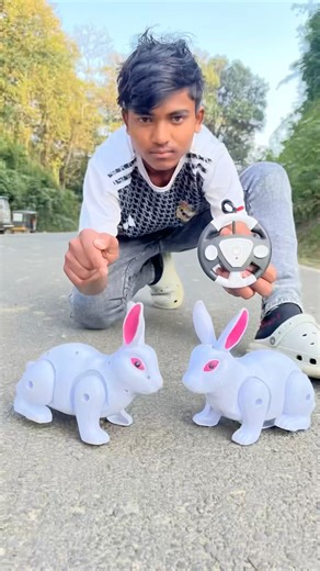 Two Remote control rabbit 🐇 tasing funny views unboxing #trending