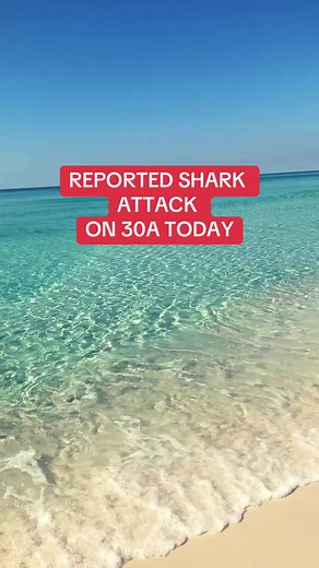 30A Paradise on TikTok