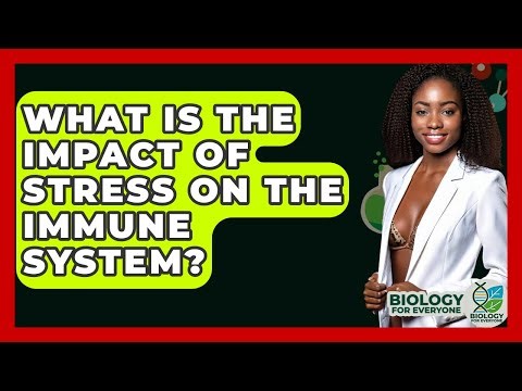 What Is The Impact Of Stress On The Immune System? - Biology For Everyone